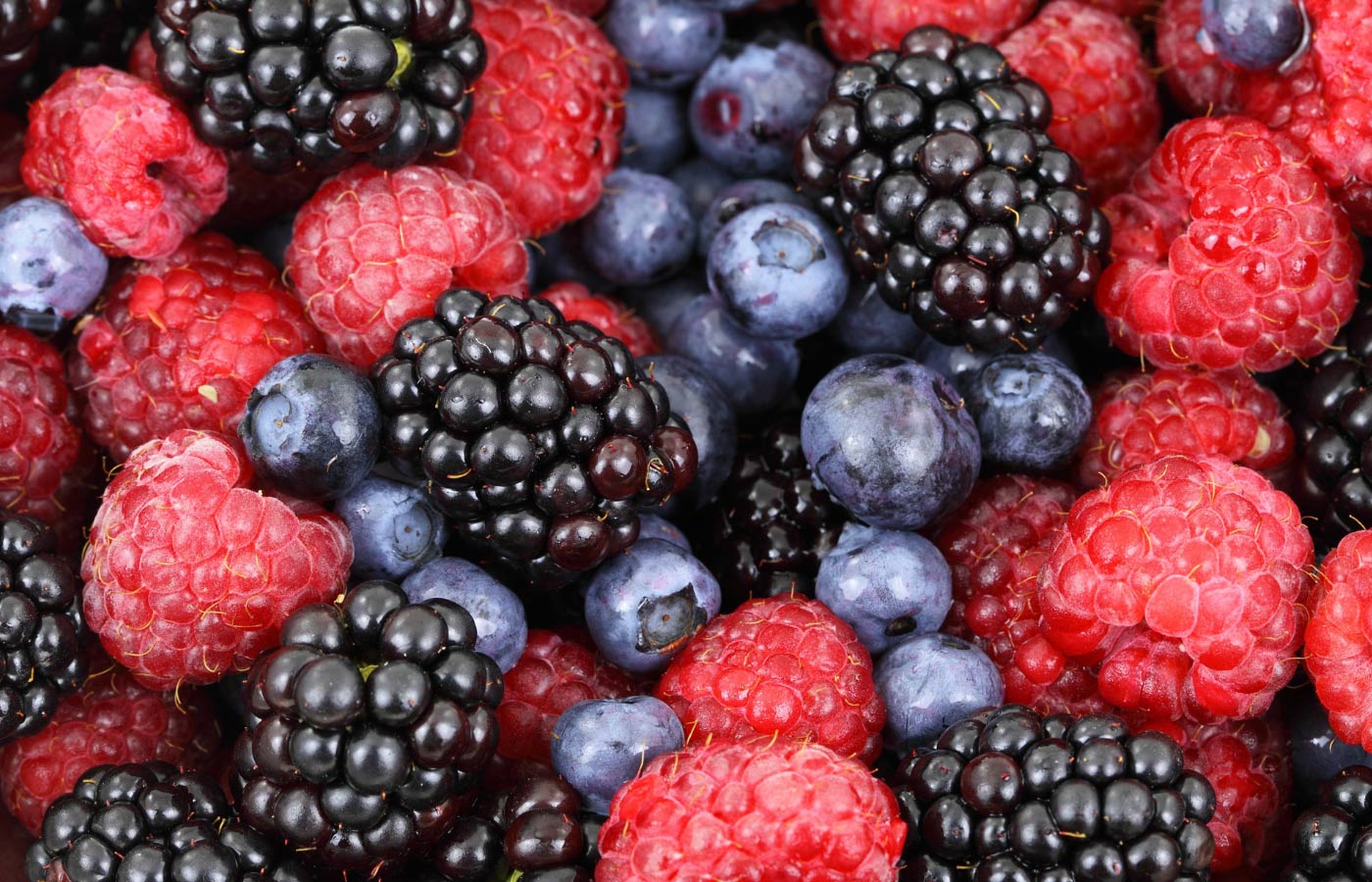 Nutri Matheus Acerbi - Nutricionista em Santo André Nutricionista ortomolecular, integrativo, funcional e esportivo, e terapeuta integrativo. Juntos vamos regenerar sua vida. Atendimento Presencial e Online.